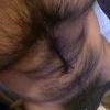 foto do perfil hairywolf